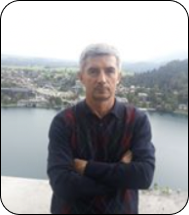 Prof. dr Stevan Stankovski